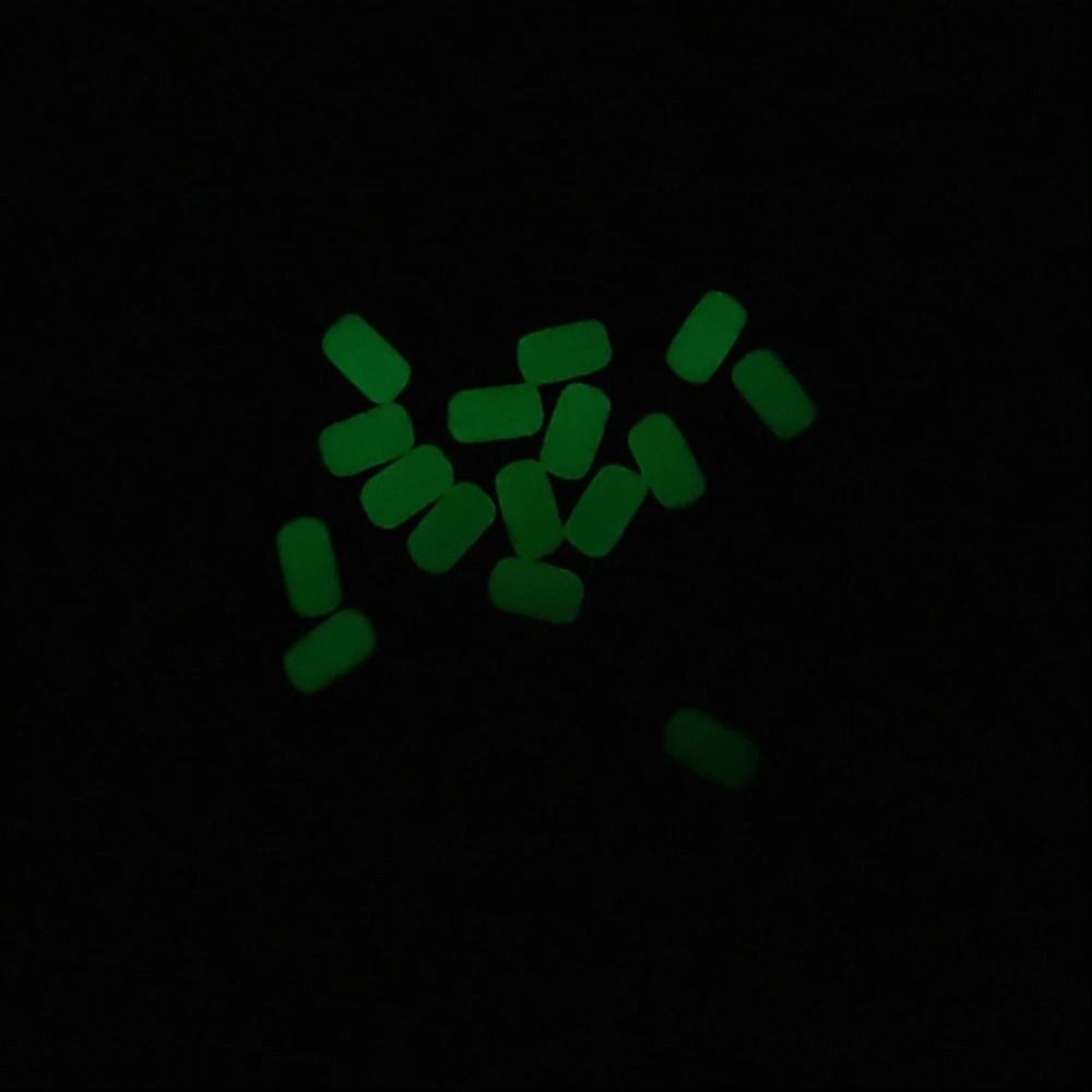 100 stks/zak Lichtgevende Viss - Night Float Fishing recensie en prijs